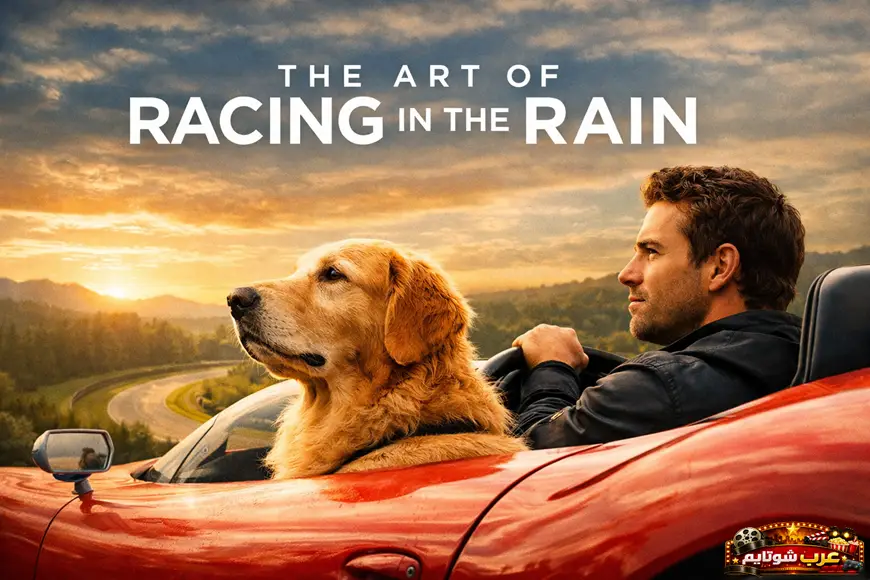 ملصق سينمائي لفيلم The Art of Racing in the Rain يظهر السائق داني مع كلبه إنزو داخل سيارة حمراء على طريق جبلي عند الغروب.